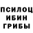 Псилоцибиновые грибы Psilocybine cubensis BritOS