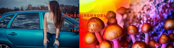 mdpv Няндома