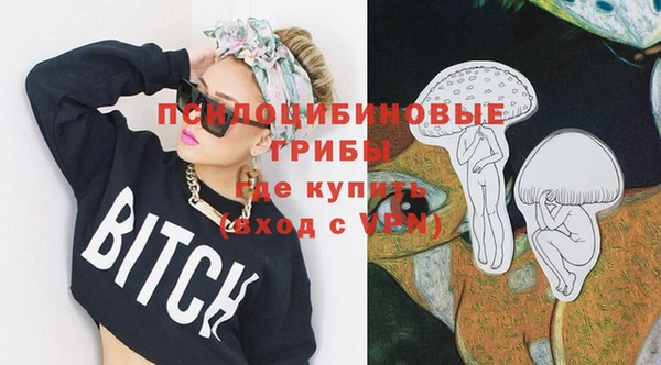 mdpv Няндома