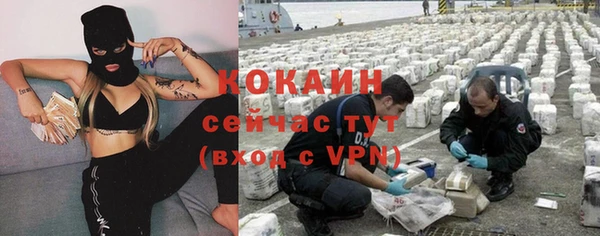 mdpv Няндома