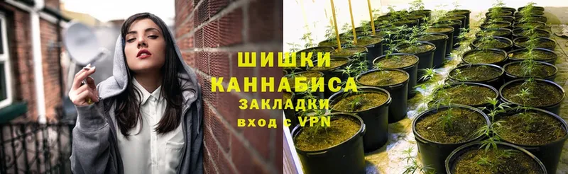 blacksprut рабочий сайт  Уяр  Бошки Шишки планчик 